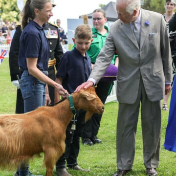 img-864 Capra spălată cu Head & Shoulders devine prima capră cu titlu regal acordat de Regele Charles