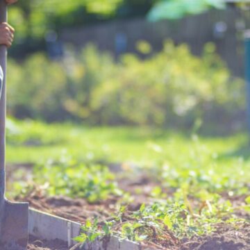 img Tragedie în Iași: Bărbat de 32 de ani a murit după ce a muncit în soare