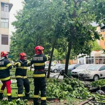 Furtună puternică în București: Copaci doborâți de vântul puternic