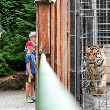 img Destinații perfecte pentru vacanțe cu copiii în România