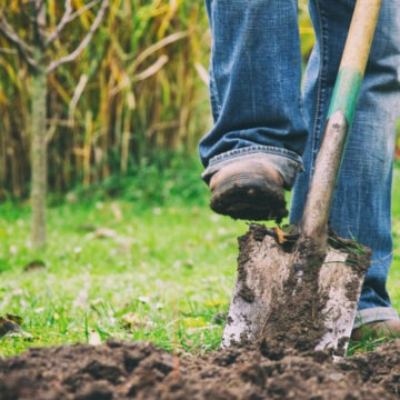 img Descoperirea unei bombe în grădina unui bărbat din Botoșani