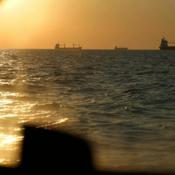 img Încălzirea Mării Negre și impactul asupra ecosistemului