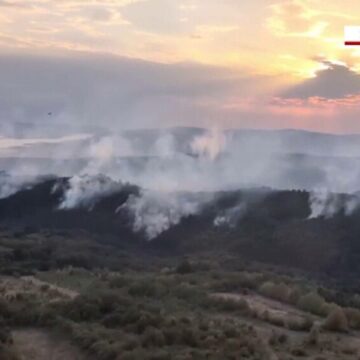 img Incendiu de pădure în Caraş-Severin