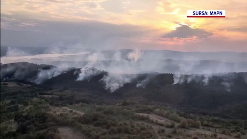 img Incendiu de pădure în Caraş-Severin