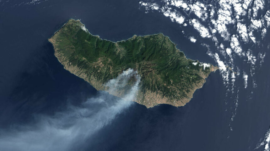 img Incendiul devastator din Insula Madeira