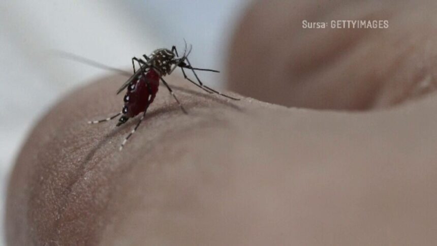 img Cazul infecției cu virusul West Nile în Suceava