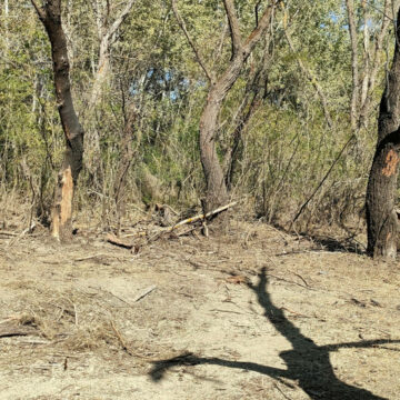 Alertă RO-Alert în județul Tulcea din cauza dronelor care se apropiau de teritoriul României