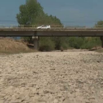 img Impactul alarmant al secetei asupra ecosistemului din România