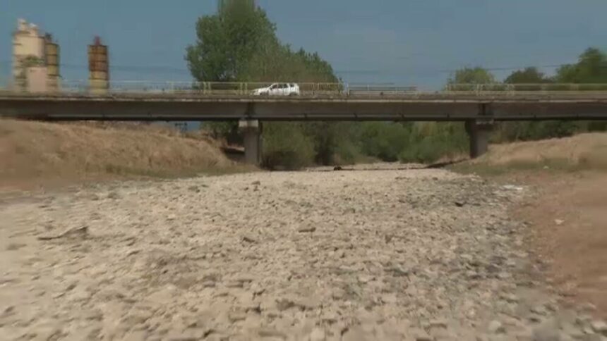 img Impactul alarmant al secetei asupra ecosistemului din România