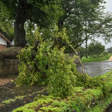 img Daune in Japonia dupa taifunul Shanshan: cel putin cinci persoane au murit si milioane sunt evacuate