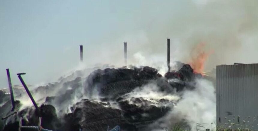 img Incendiu violent la o fermă din județul Bacău