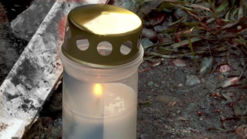 img Tragedie în Harghita: Un copil de 11 ani a murit sfâșiat de câinii de la ferma familiei sale