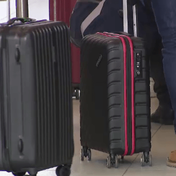 img Descoperire neașteptată pe Aeroportul Otopeni: Ce au găsit vameșii în bagajele a trei pasageri care veneau din Atena