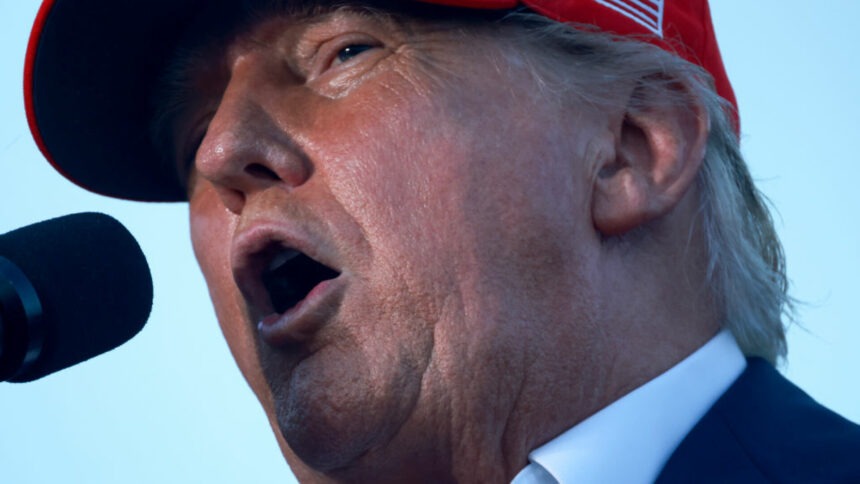 img Donald Trump felicită pe Vladimir Putin pentru schimbul de ostatici