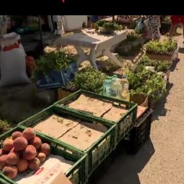 img Problema micii cultivatori: recolta bogată, dar fără loc de vânzare