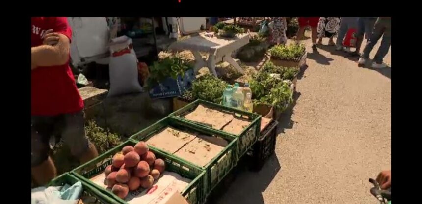 img Problema micii cultivatori: recolta bogată, dar fără loc de vânzare