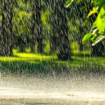 Prognoza meteo pentru ziua de 5 august