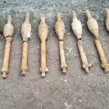 img Descoperire periculoasă în curtea unei familii din Vaslui