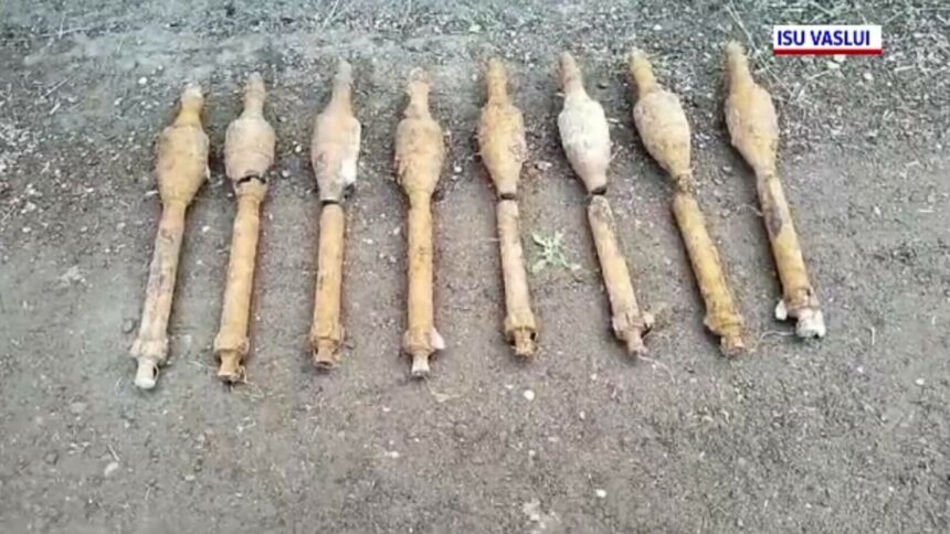 Descoperire periculoasă în curtea unei familii din Vaslui