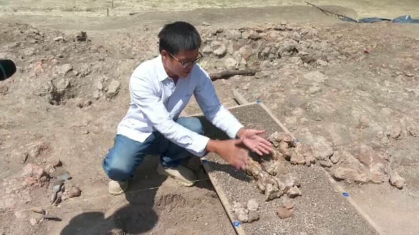 Descoperire arheologică în Iași: Așezarea preistorică care seamănă cu cele din China preistorică