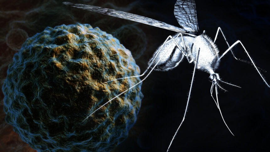 img Infecția cu virusul West Nile – Situația actuală în România