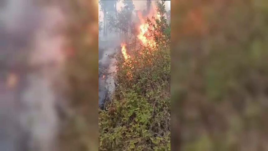 img Incendiu de proporții în Clisura Dunării