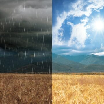 img Vremea azi, 10 august: Caniculă și ploi torențiale în țară