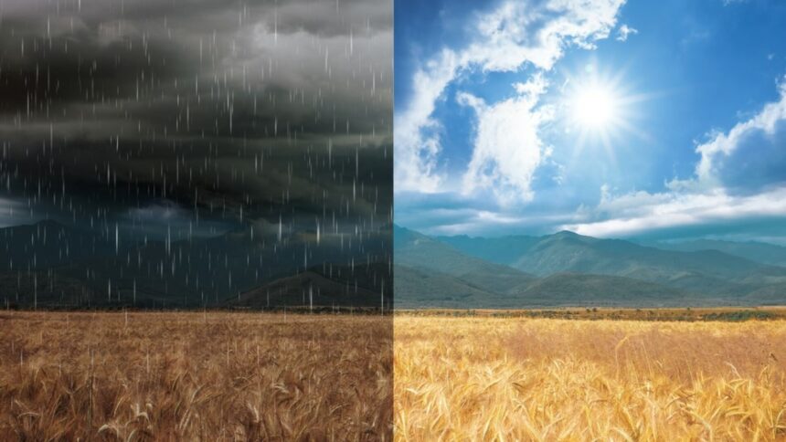 img Vremea azi, 10 august: Caniculă și ploi torențiale în țară