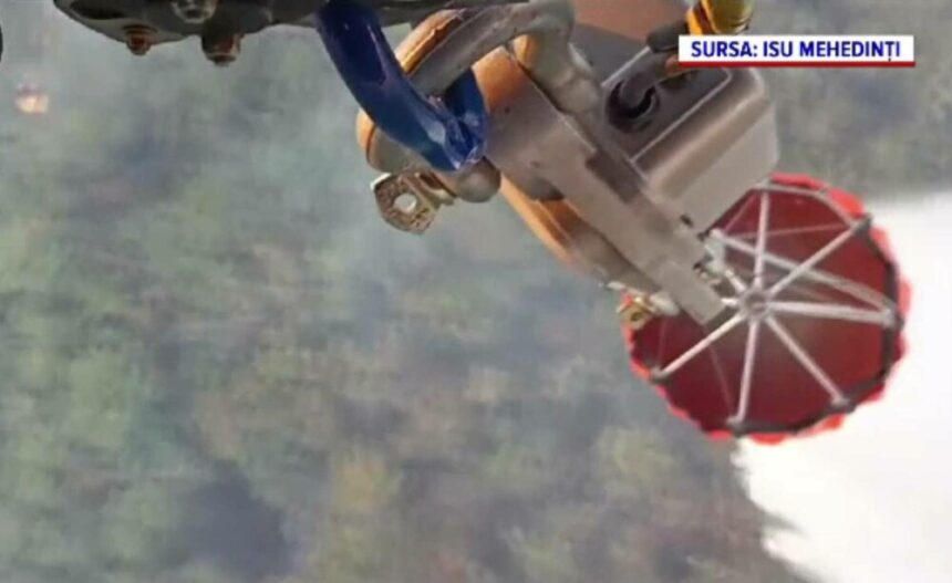 img Incendiul devastator din pădurea din Clisura Dunării