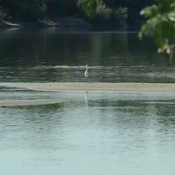 img Valul năucitor de căldură și efectele secetei în România