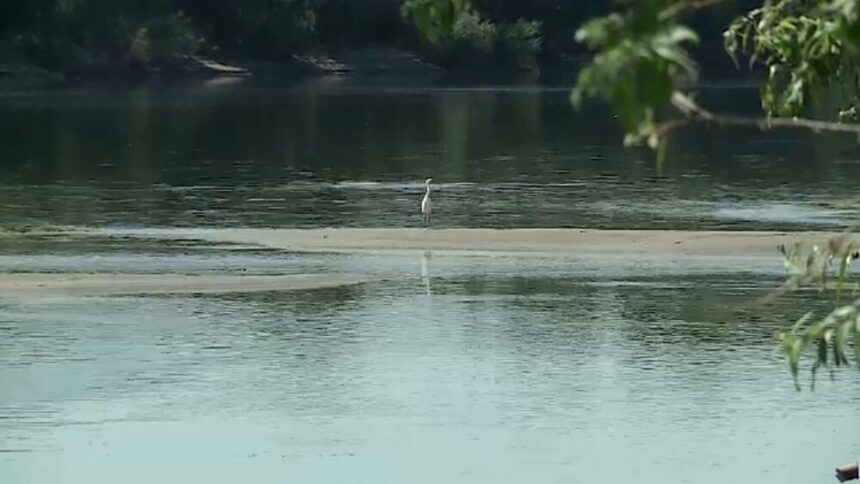 img Valul năucitor de căldură și efectele secetei în România