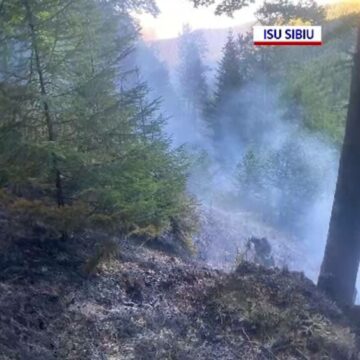 img Incendiu de pădure declanșat de un ATV răsturnat. Pompierii se luptă cu flăcările de peste 24 de ore
