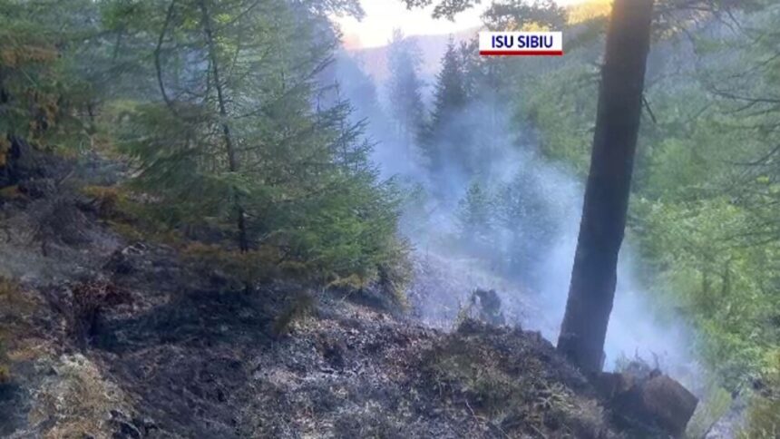 img Incendiu de pădure declanșat de un ATV răsturnat. Pompierii se luptă cu flăcările de peste 24 de ore