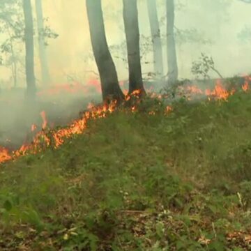 img Tragedie in Cluj: Un barbat de 70 de ani a murit ars de viu dupa ce a dat foc la o miriste