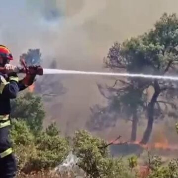 img Incendiile devastatoare din Atena și Albania