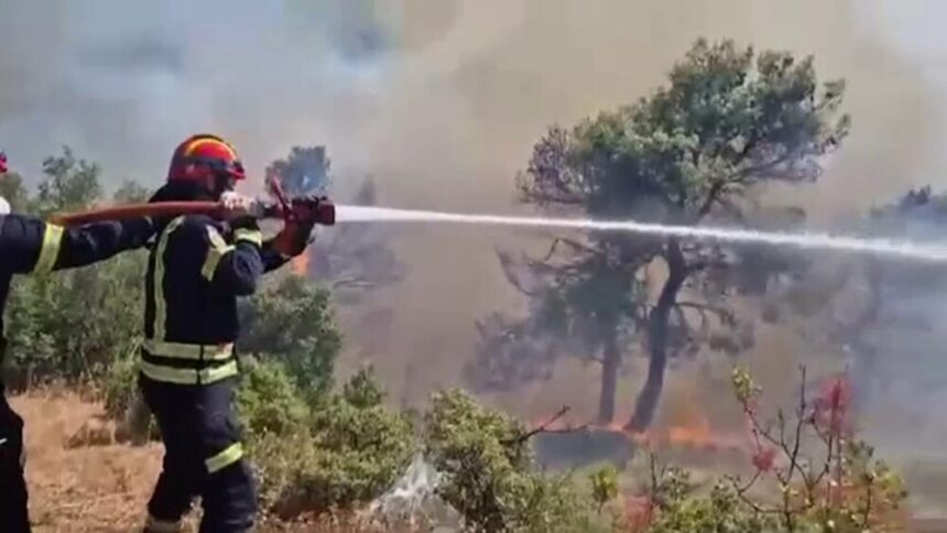 img Incendiile devastatoare din Atena și Albania