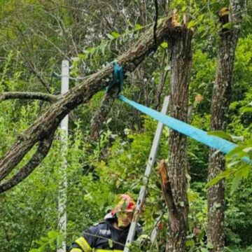 img Impactul furtunii puternice din Hunedoara