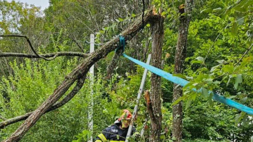 img Impactul furtunii puternice din Hunedoara