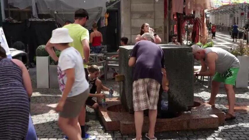 img Canicula face prăpăd și în luna august