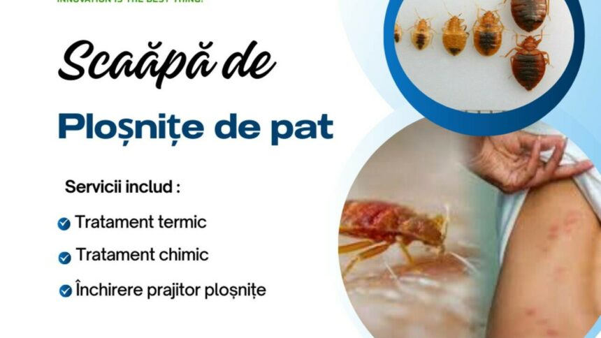 img Actual Clean : Lider În Eliminare Ploșnițe de Pat