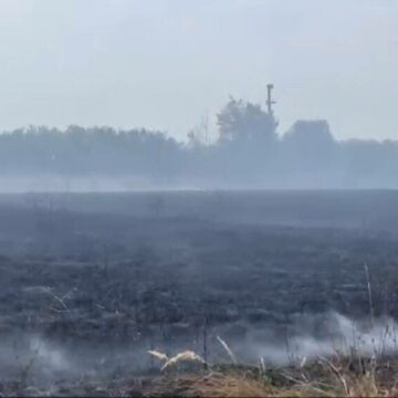 img Incendiu devastator lângă Timișoara