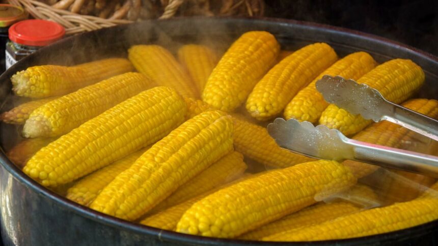 img Cum să pregătești porumbul fiert perfect: trucuri și sfaturi pentru un gust și o textură deosebită