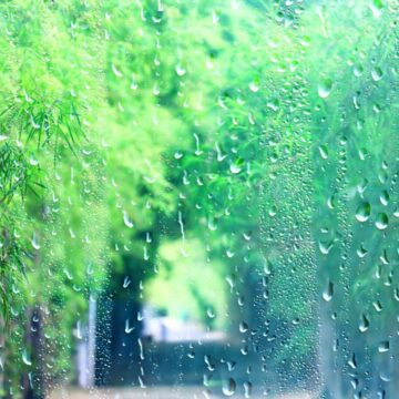 Procesul de formare a ploii și tipurile de precipitații