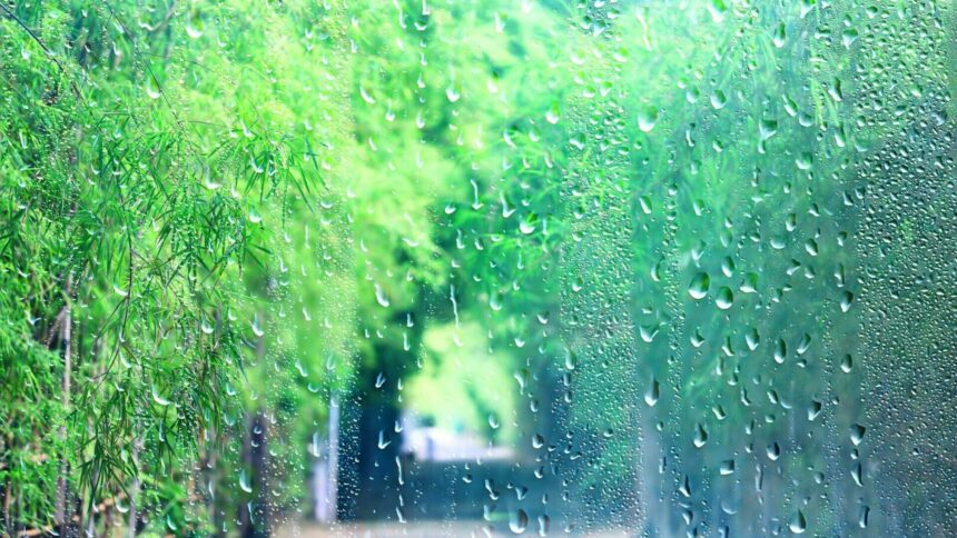 img Procesul de formare a ploii și tipurile de precipitații