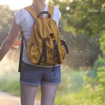 img Riscul de infectare cu virusul West Nile în România și măsurile de prevenție recomandate