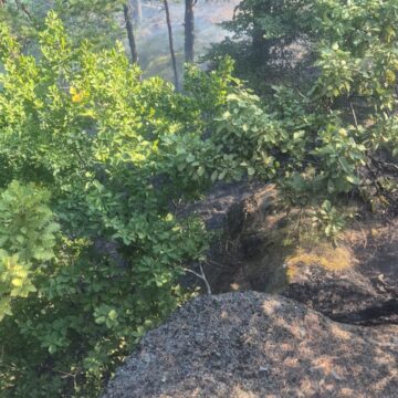 img Incendiu de pădure în apropiere de Băile Olăneşti, într-o zonă greu accesibilă