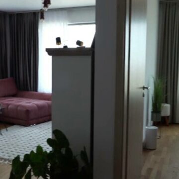 img Chiriile cresc înainte de începerea anului universitar