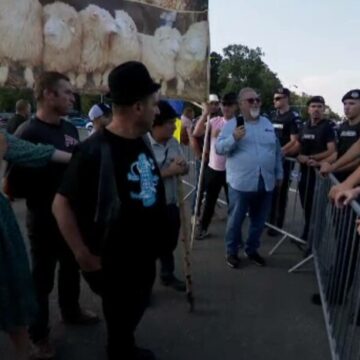 Fermierii protestează împotriva gestionării crizei provocate de pesta ovină