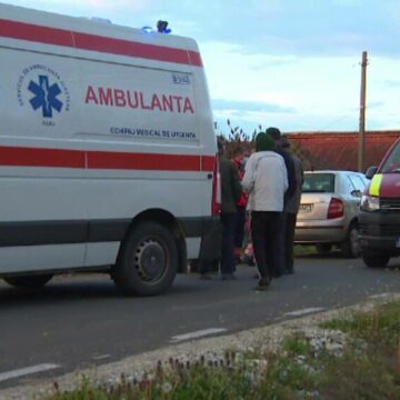 img Tragedie în livadă: Un bărbat mușcat de viespi a murit fulgerător