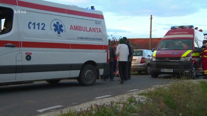 img Tragedie în livadă: Un bărbat mușcat de viespi a murit fulgerător